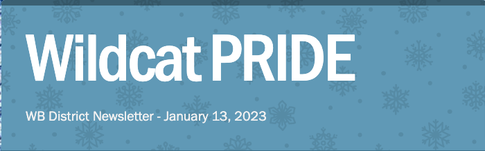 wildcat pride banner