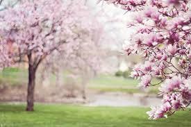 Howard Newsletter April 25, 2019